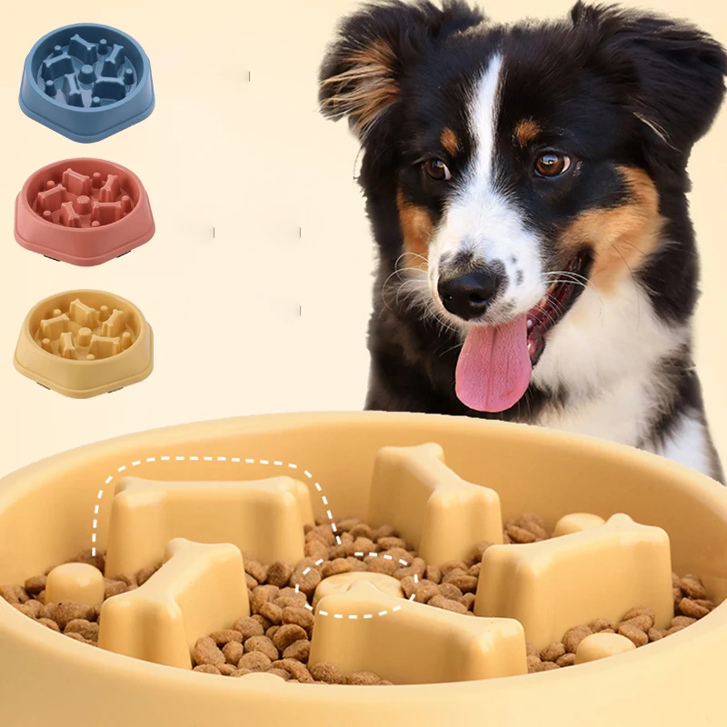 Mangkuk Makan Anjing Anti Seli - Royal Canin Food Medium ulasan dan harga
