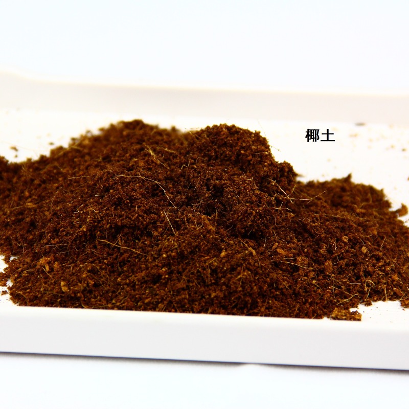 Media Tanam Reptil Berbahan Se - Substrate Coconut Fiber ulasan dan harga